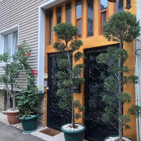 Ozzy Homes Apartment